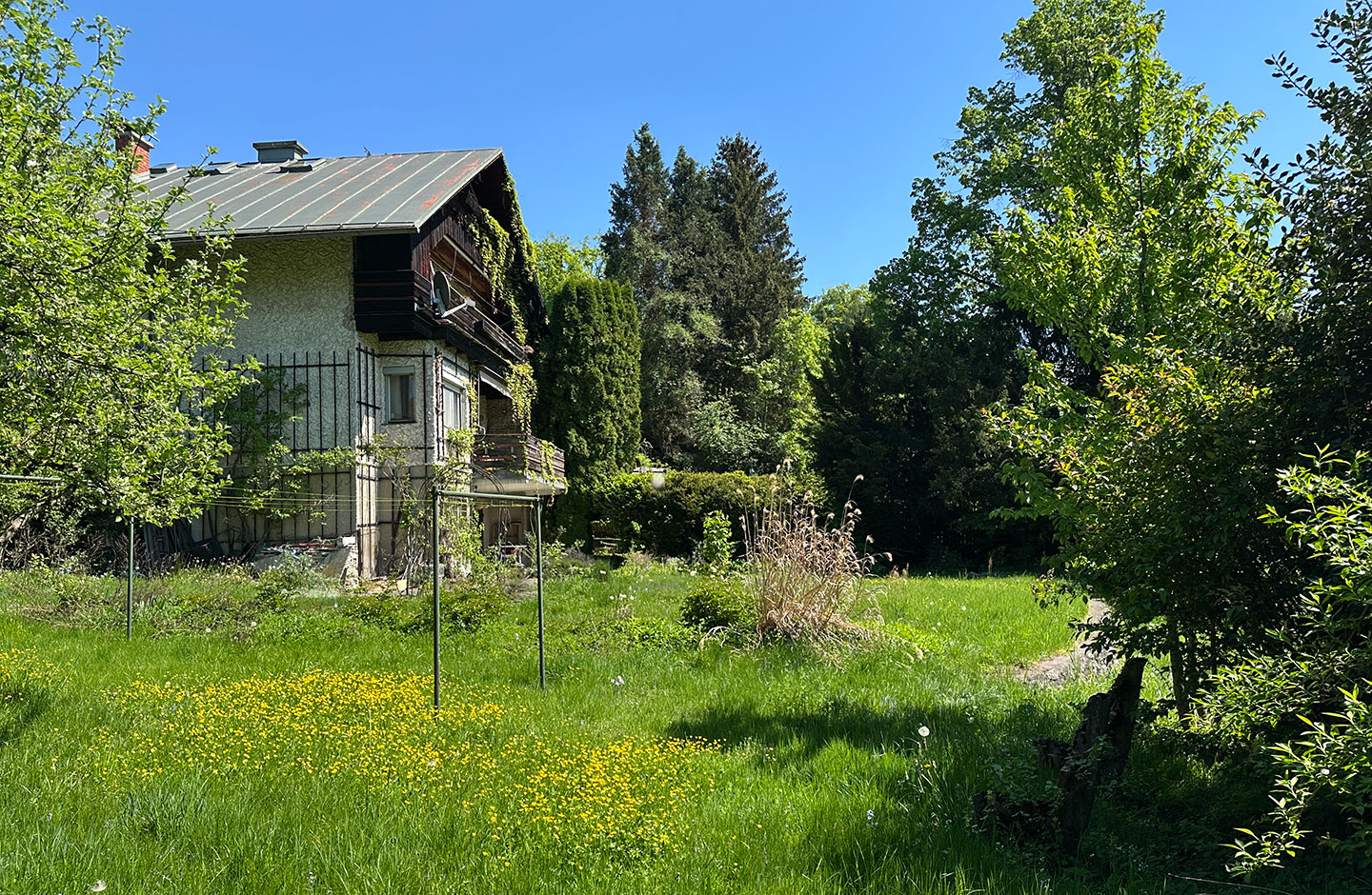Grundstück mit alten Haus, grüner Wiese und Bäumen
